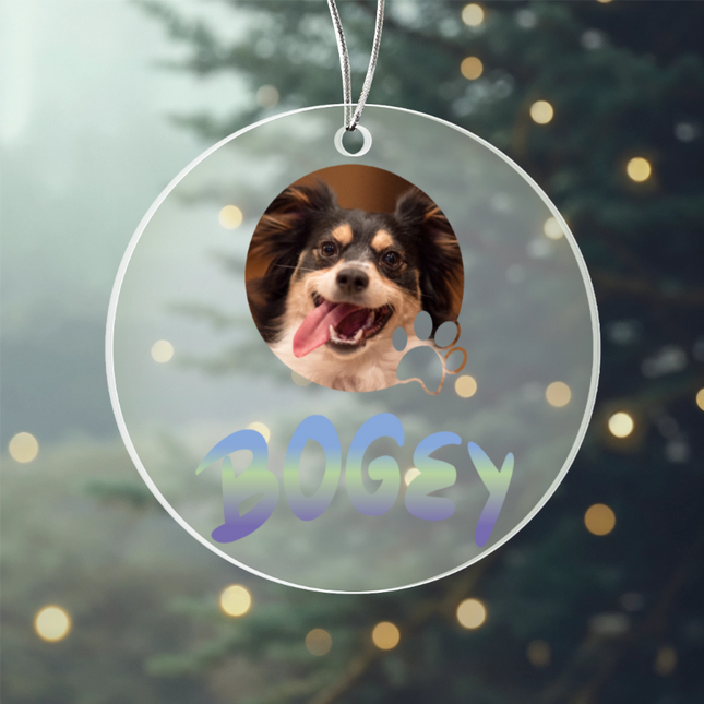 Pet Photo With Name In Gradient Finish Acrylic Circle Ornament