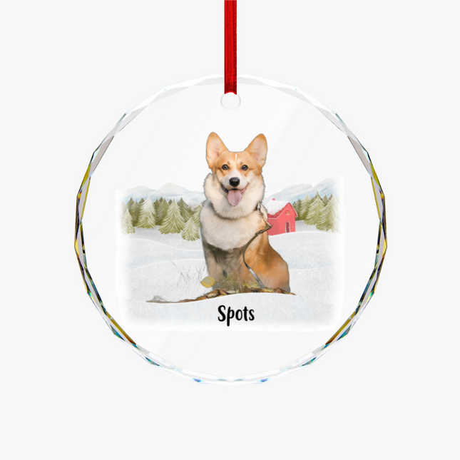 Christmas With My Pet Round Glass Ornament